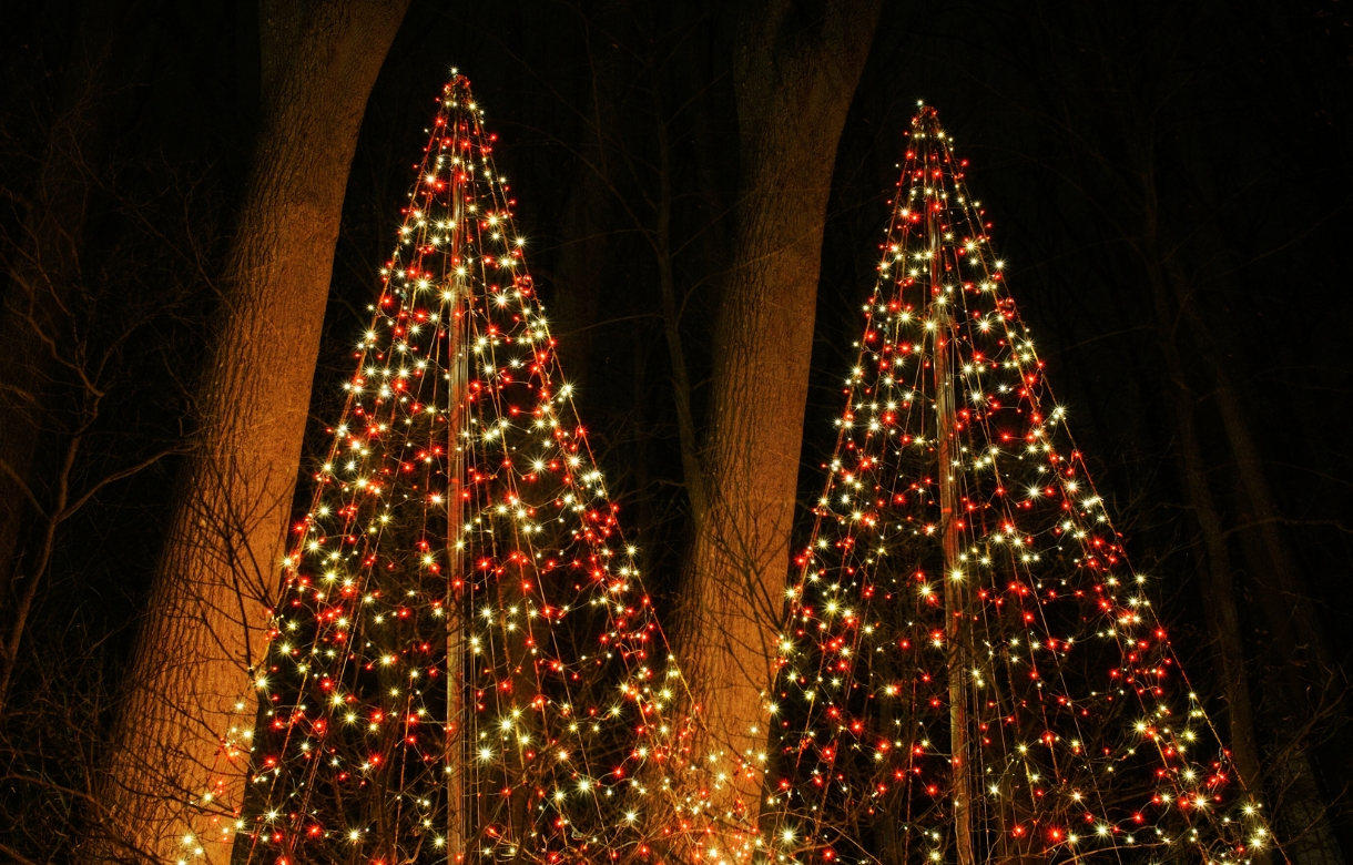 Permanent Christmas Light Installation Portland, OR