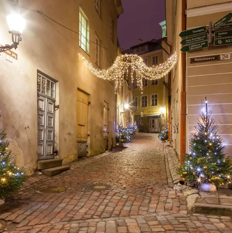 Top Christmas Light Installation in Portland, Oregon